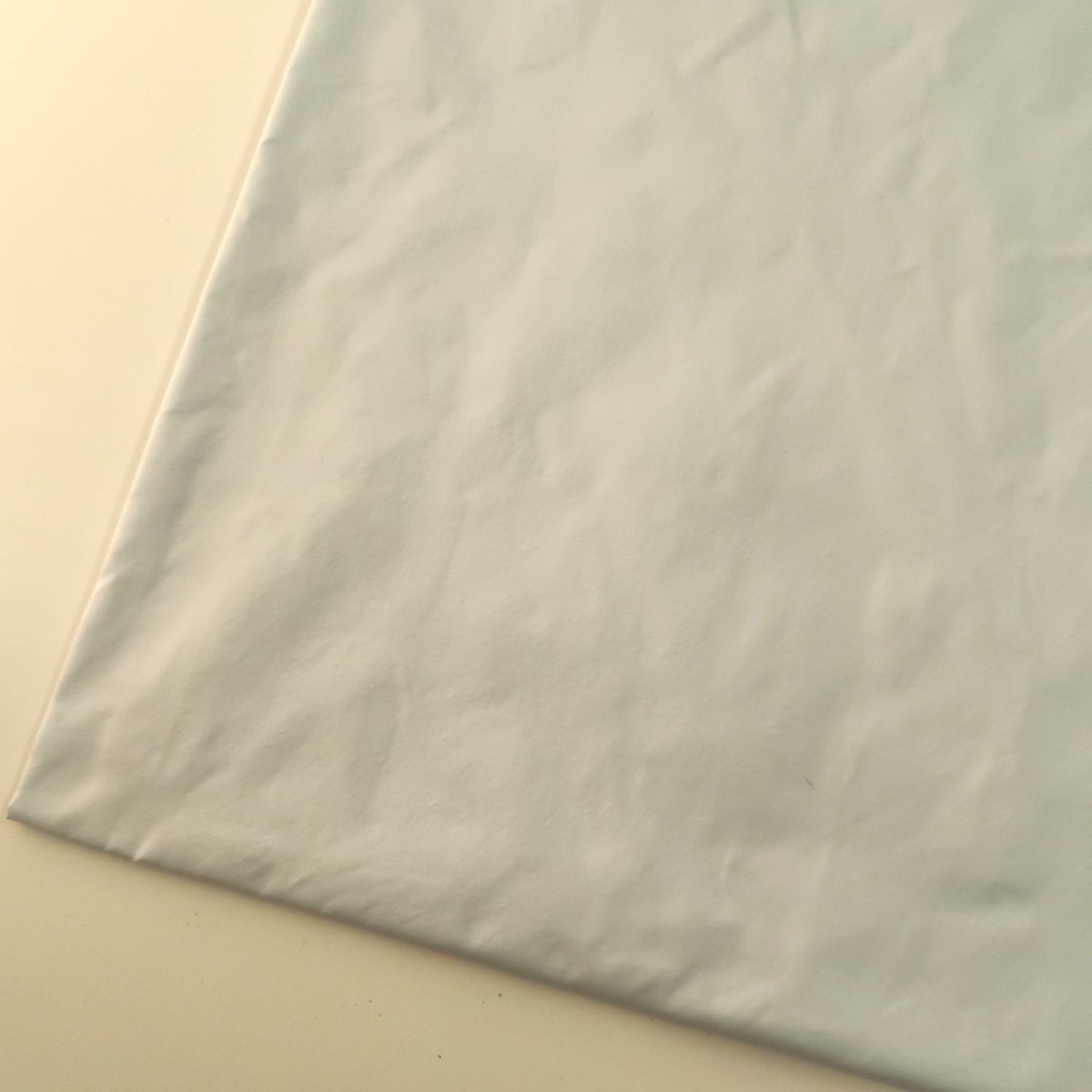 ウスアイスブルー（GABA74W）