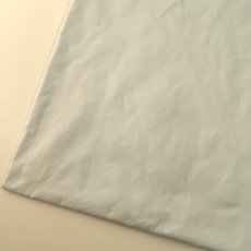 ウスアイスブルー（GABA74W）