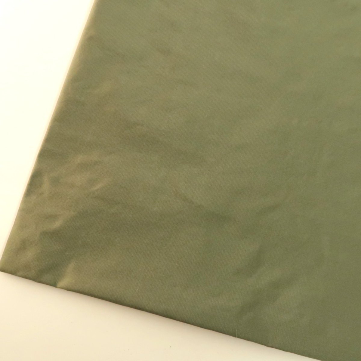 オリーブ（GA853BL）