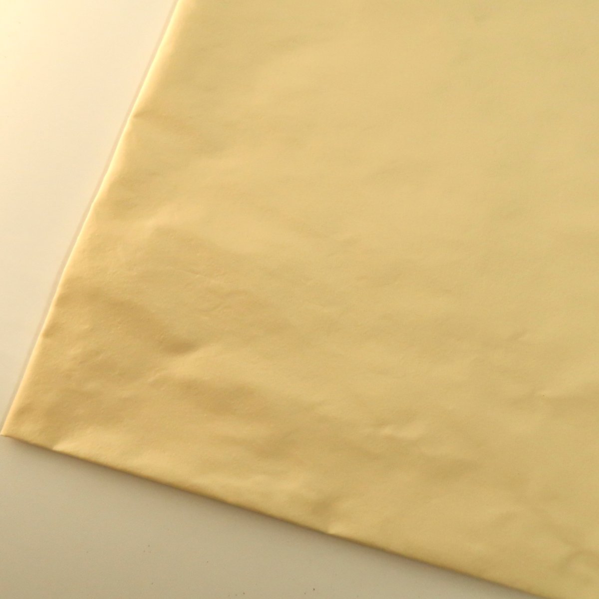 ウスイエロー（GA831W）