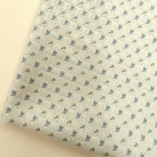 画像9: シルクジャガード　Baby Austin(ベビーオースチン） (9)